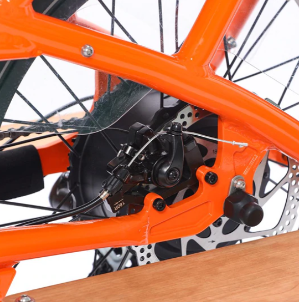 Electric Bike for Adults, 750W Motor 48V 15AH Removable Battery, 20"  Tire Foldable Electric Bike